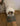 LeloPets Auto Cat Litter Box Reviews-10