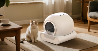Do Automatic Litter Boxes Scare Cats?