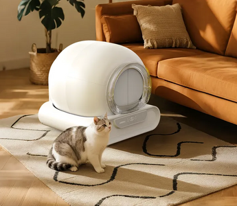 How Often Should You Change the Litter in a Self Cleaning Litter Box?