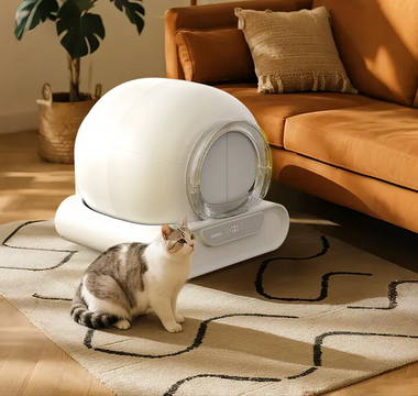 How Often Should You Change the Litter in a Self Cleaning Litter Box?