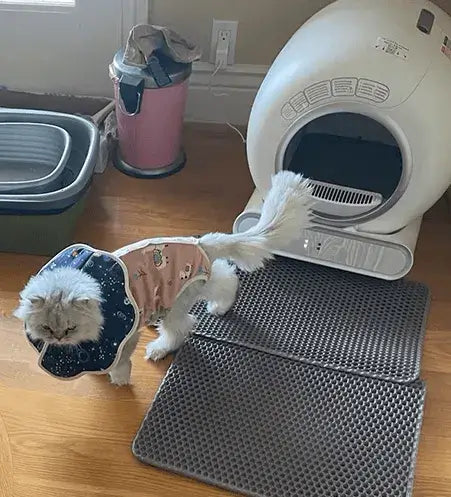 LeloPets Auto Cat Litter Box Reviews-1