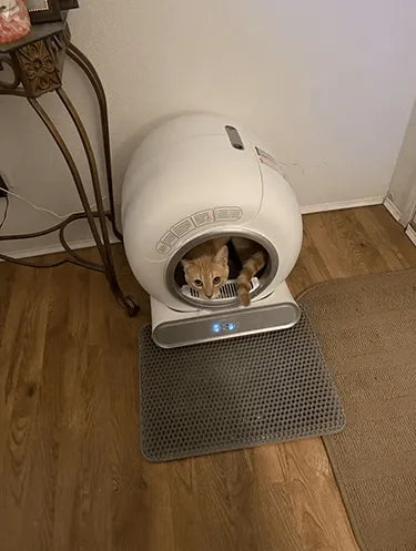 LeloPets Auto Cat Litter Box Reviews-10