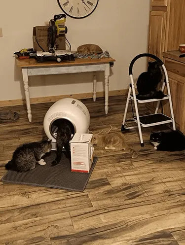 LeloPets Auto Cat Litter Box Reviews-2