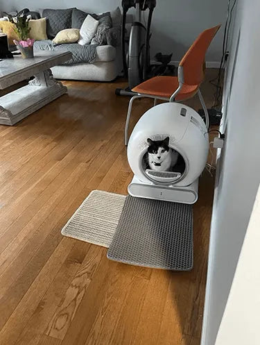 LeloPets Auto Cat Litter Box Reviews-4