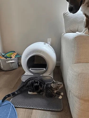 LeloPets Auto Cat Litter Box Reviews-7