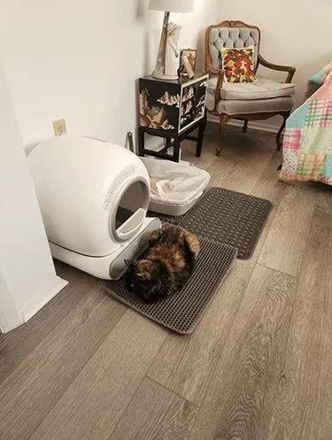 LeloPets Auto Cat Litter Box Reviews-8