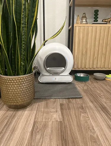 LeloPets Auto Cat Litter Box Reviews-9