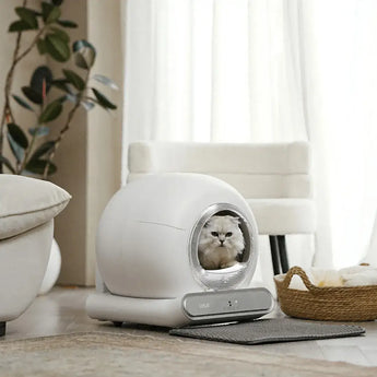 LeloPets Auto Self-cleaning Cat Litter Box