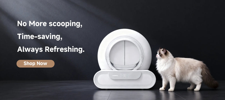 LeloPets Auto Litter Box for Cats | Innovative Pet Care Solutions LeloPets Auto Litter Box for Cats | Innovative Pet Care Solutions